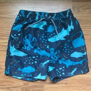 Toddler Boy Swim Trunks Sharks and Octopus